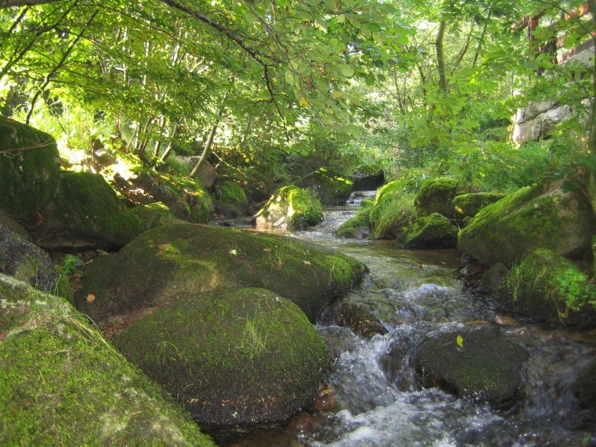 Converted Old Mill In St Georgen Inblack Forest 黑林山区圣格奥尔根 外观 照片