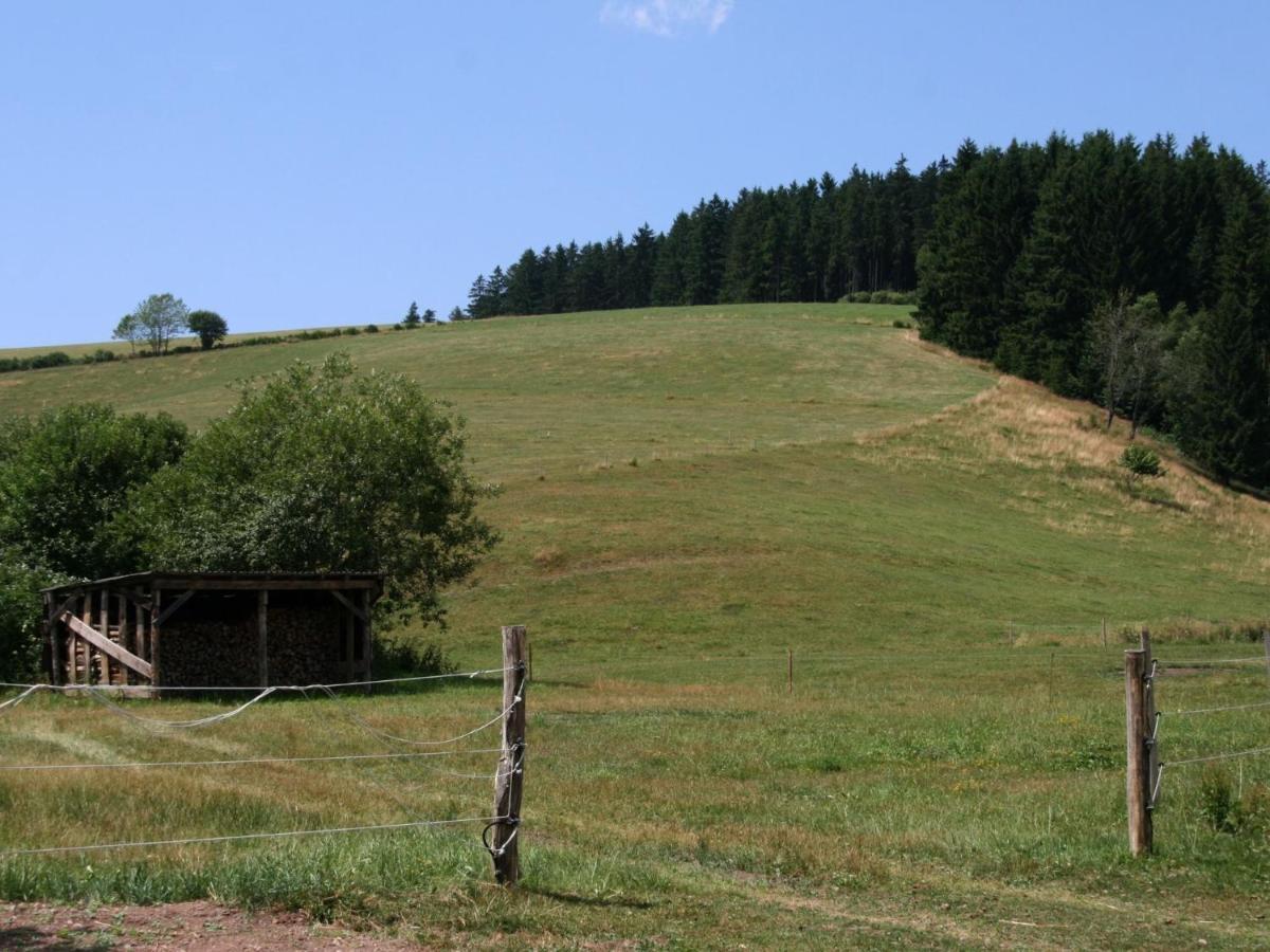 Converted Old Mill In St Georgen Inblack Forest 黑林山区圣格奥尔根 外观 照片