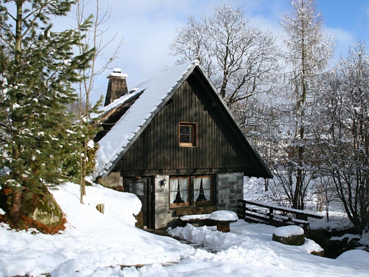 Converted Old Mill In St Georgen Inblack Forest 黑林山区圣格奥尔根 外观 照片